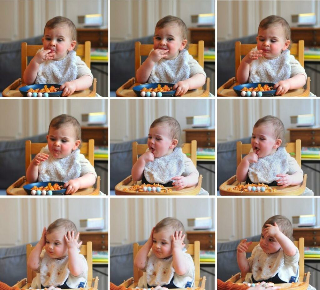 Photographe famille à Lille