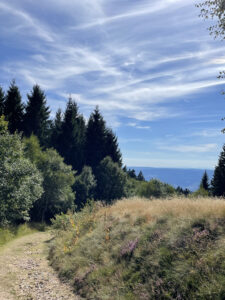 reportage photo auvergne