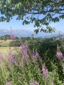 reportage photo Hautes-Alpes