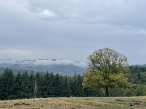 reportage photo de paysages en Auvergne